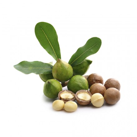 Macadamia «Premium» BIO, 1000g