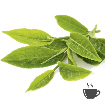 Grüntee «Sencha Finest» BIO, 75g