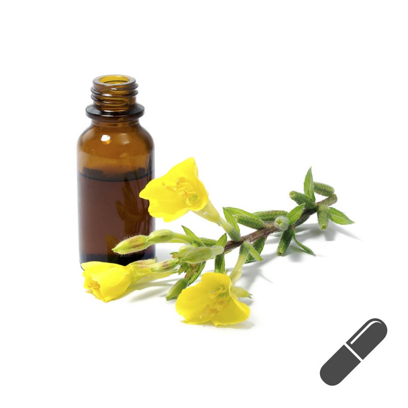 Premium Nachtkerzen&ouml;l Kapseln hier kaufen