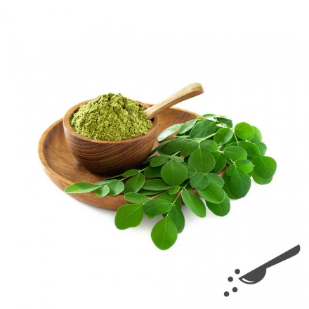 Moringa-Pulver Wildsammlung, 400g