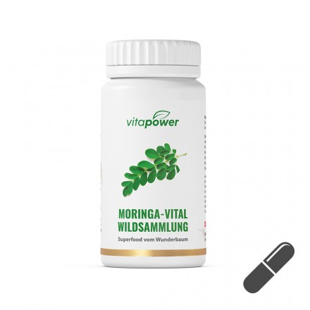 Moringa-Kapseln f&uuml;r jung & alt: Hier online kaufen
