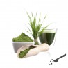 Top Gerstengras-Saft-Pulver hier online kaufen.