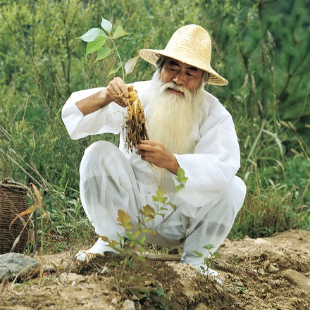 Weisses Ginseng-Pulver ungesch&auml;lt hier kaufen