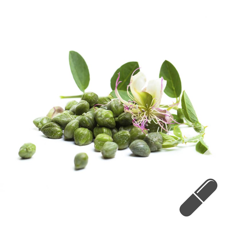 Kapernextrakt kaufen, unterst&uuml;tzt bei Allergien.