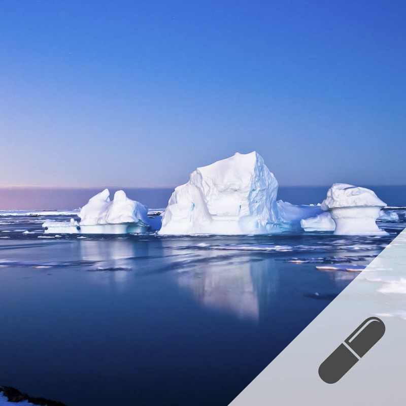 Krill-&Ouml;l-Kapseln, premium | Vitapower Onlineshop