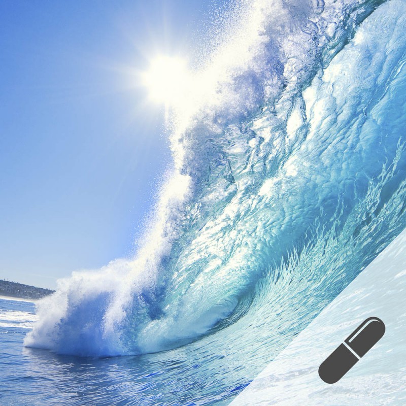 Premium Omega 3 Fisch&ouml;l Kapseln | Vitapowershop