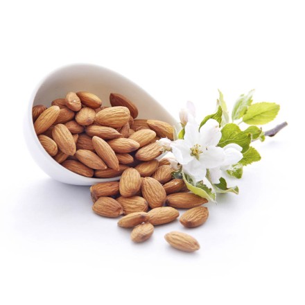 Bio Mandeln &bdquo;Spezial&ldquo; - hier kaufen