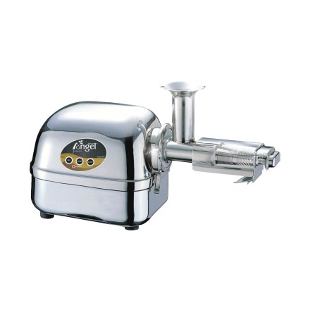 Saftpresse f&uuml;r Vitals&auml;fte, Edelstah| Vitapowershop