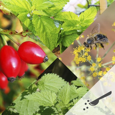 Bergkr&auml;uter-Wildfruchtpulver, BIO | Vitapowershop