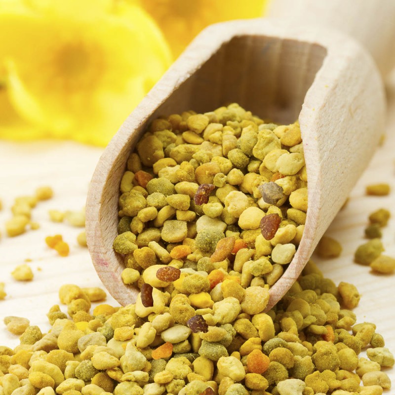 Bl&uuml;tenpollen in top Qualit&auml;t - jetzt bestellen.