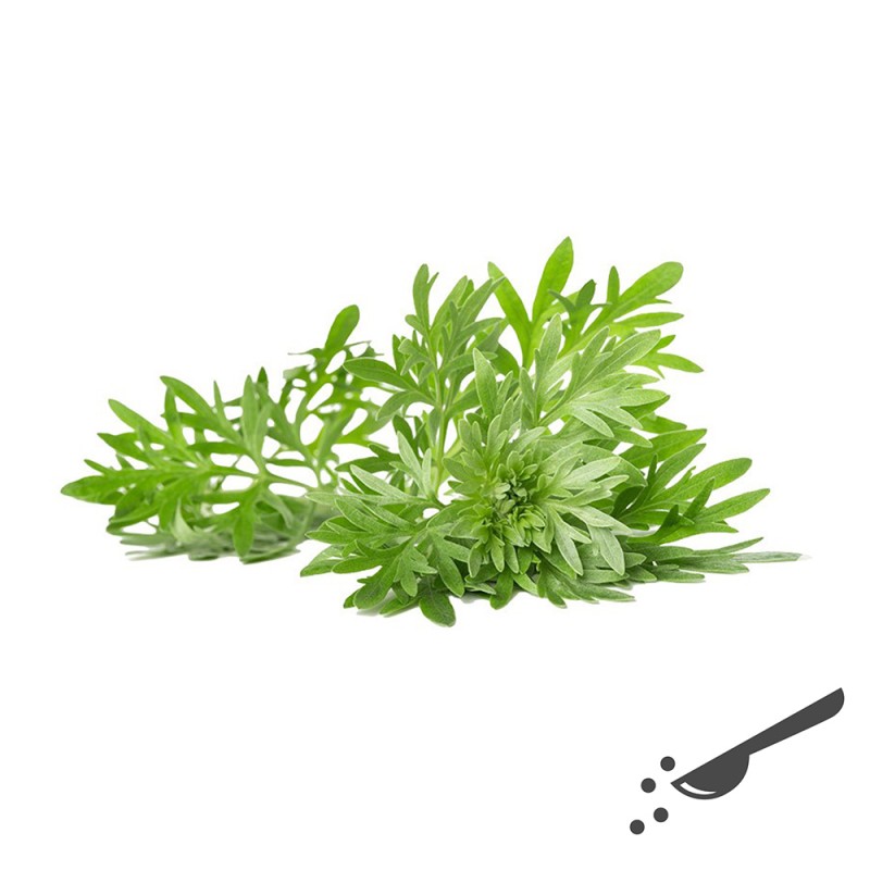 Artemisia annua Blattschnitt BIO
