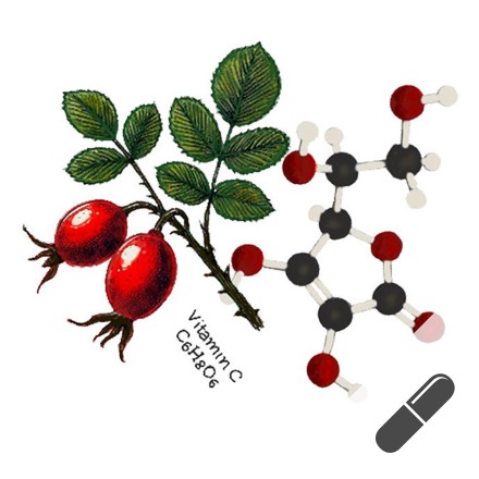 Vitamin C mit Hagebutte kaufen. Onlineshop.