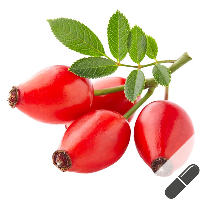 BIO Hagebutten-Kapseln (vegan) online kaufen.