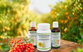 Unterstützende Vitamine für unser Immunsystem. Onlineshop.