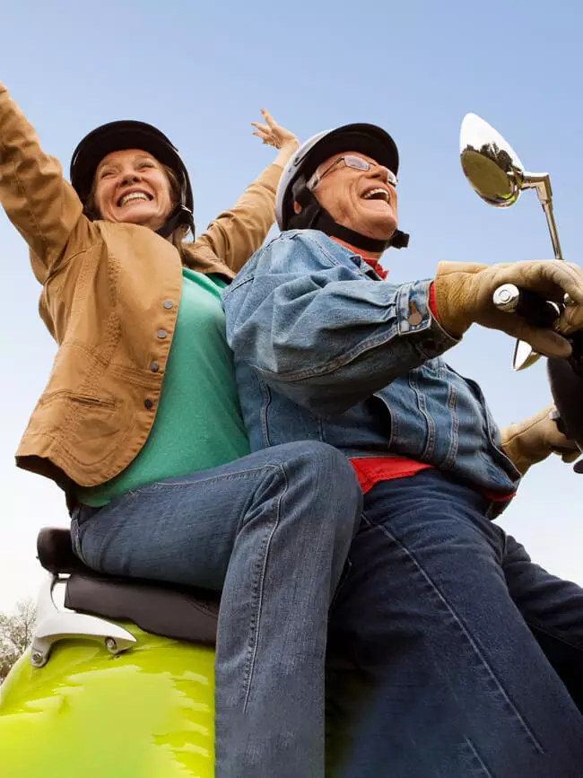 Biene und Schmetterling auf einer Bl&uuml;te &ndash; Symbol f&uuml;r Honig/Bl&uuml;tenpollen (Energie/Stoffwechsel)