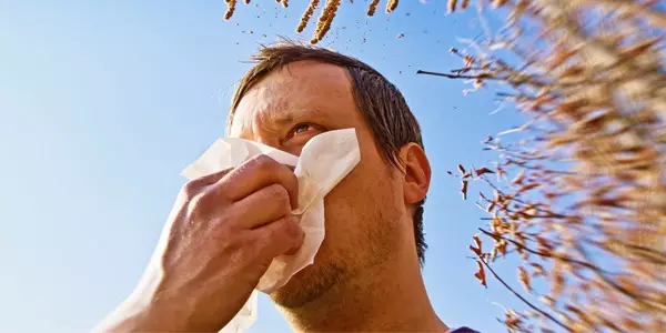 Besser durch die Pollenzeit