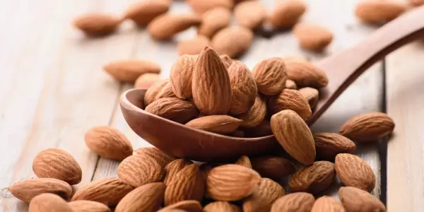 Mandelanbauern stoppen W&uuml;ste und liefern beste N&uuml;sse