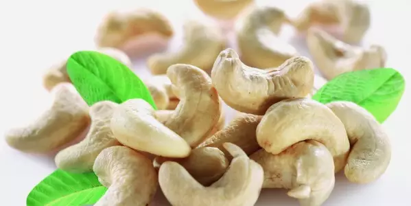 Die Cashew-Nuss &ndash; Multitalent der Natur
