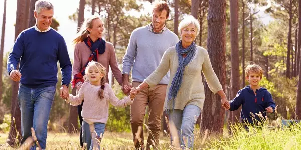 Spuren-Elemente des Lebens, Teil 2