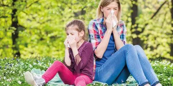 Heuschnupfen &ndash; nat&uuml;rliche und nachhaltige L&ouml;sungen