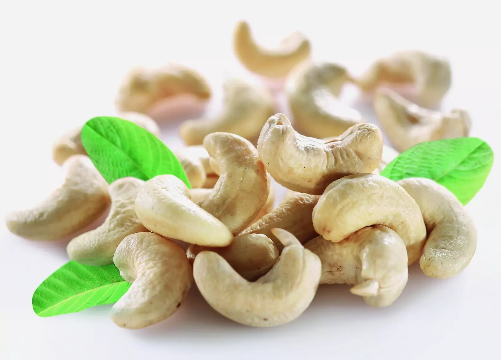 Die Cashew-Nuss &ndash; Multitalent der Natur